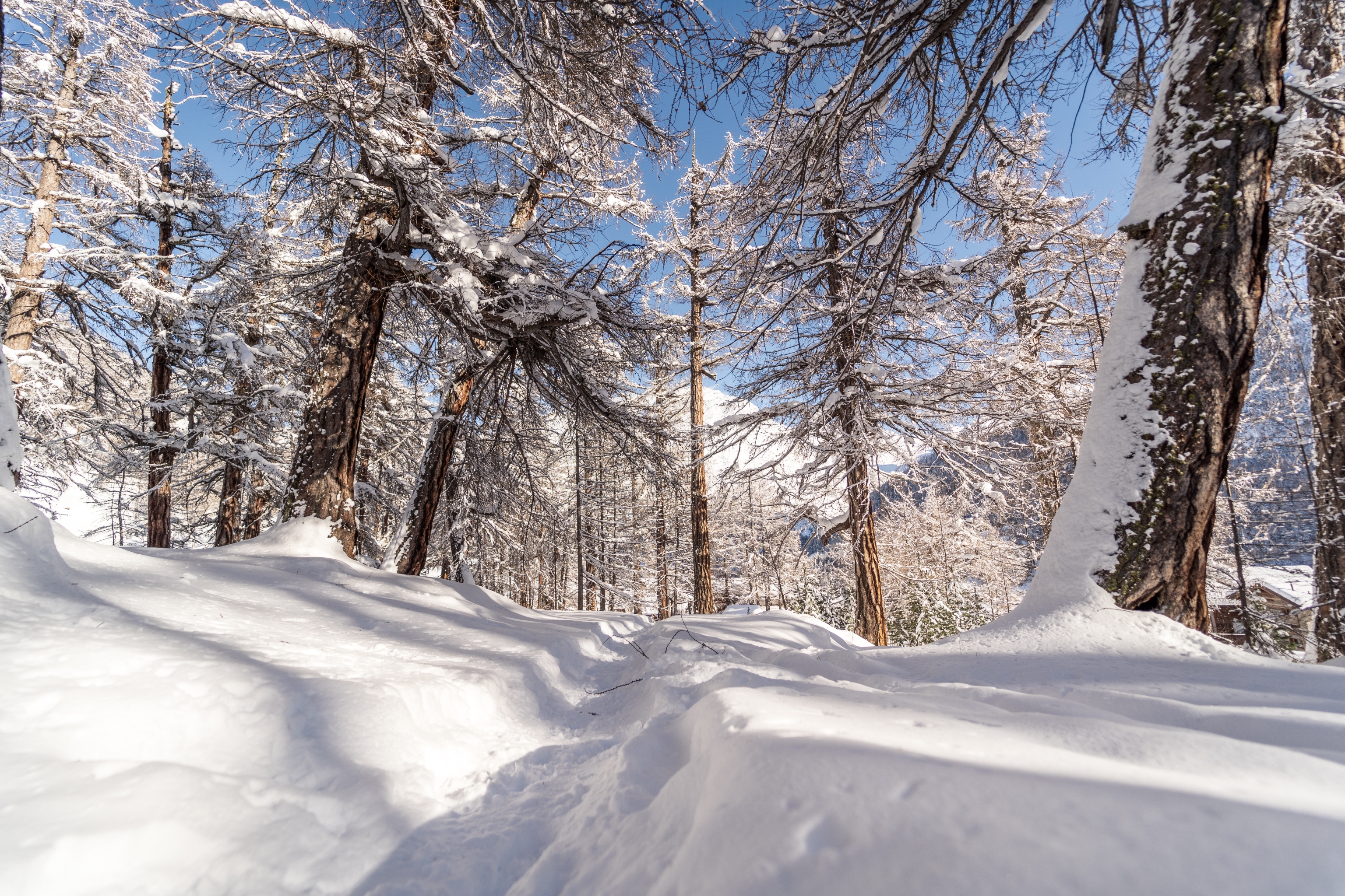 Winterwonderland 2 Saastaltourismusag Amarcstermedia Website 4 3